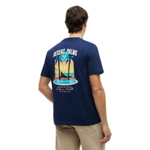 Tommy Hilfiger Summer Back Graphic Regular Tee